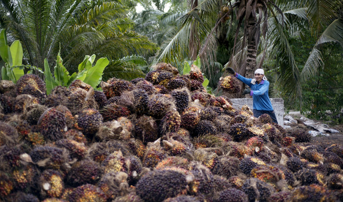 Palm Waste Management in Malaysia: Using Biotechnology to Reduce Environmental Impacts